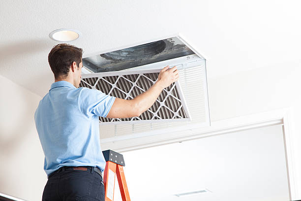 Best Air quality test  in Wamac, IL